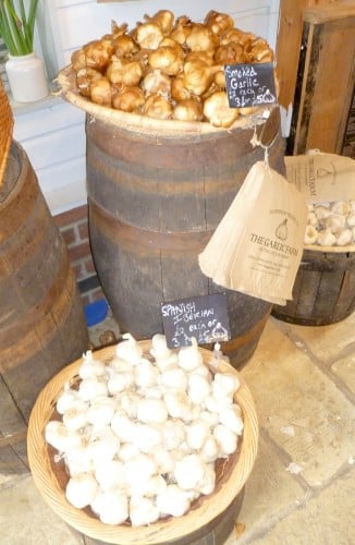 A variety of types of garlic grown on the Isle of Wight