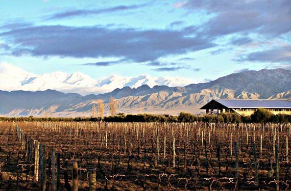 Uco Valley wines grow at the steps of the Andes