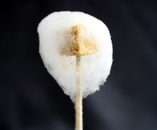 Andrés foie gras cotton candy