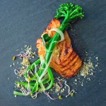 Grilled Scottish salmon