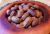 Pecan from Saltillo