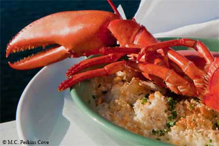 M.C. Perkins Cove is one of GAYOT's Best Seafood Restaurants in Maine