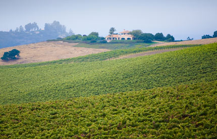 Laetitia Vineyard & Winery in the Arroyo Grande Valley, CA