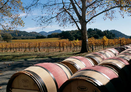 Wine barrels and vineyards at PlumpJack Winery in Napa Valley, CA