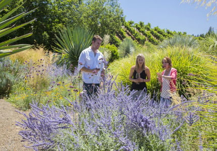 Organic gardens bloom at Benzinger Family Winery