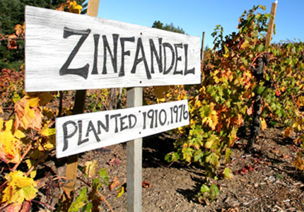 Learn more about Zinfandel, from the best bottles to buy to how the grapes are grown