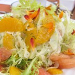 Shaved fennel and citrus salad