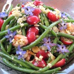 Haricots verts salad with cherries and almonds