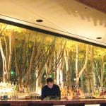 Rows of artistically synthesized trees behind the bar