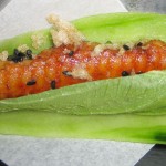 Japanese taco, grilled eel, shiso, cucumber, wasabi, chicharron