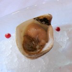 Kumamoto oysters