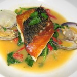 Mediterranean sea bass