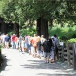 The line for A. Rafanelli Winery