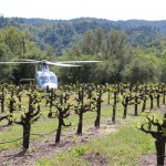 Helicopter rides from Passalacqua Winery