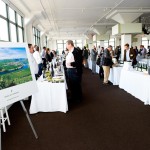 Wines of Germany display poster