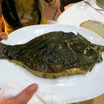 Whole grilled turbot