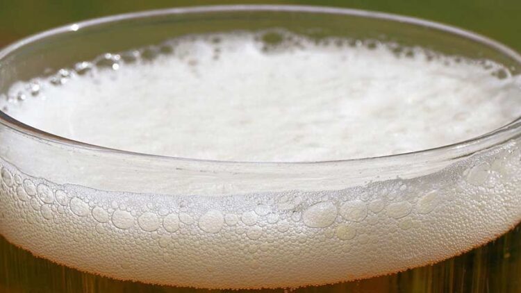 Beer may guard against osteoporosis and cardiovascular disease