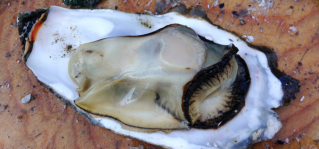 Best Aphrodisiac Foods