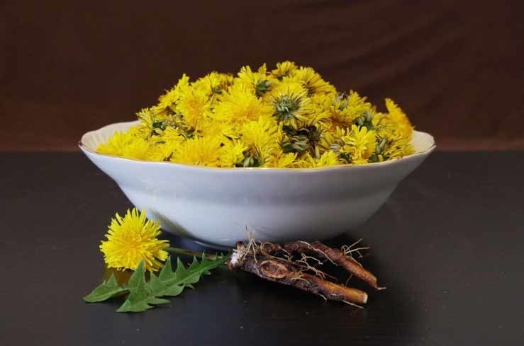 Dandelion root can help improve kidney and liver function, as well as lower blood pressure