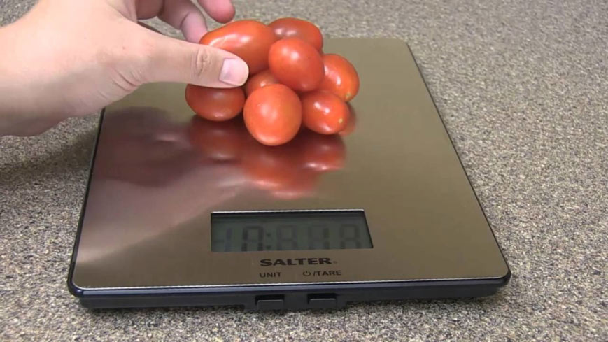 Salter Stainless Steel Electronic Scale