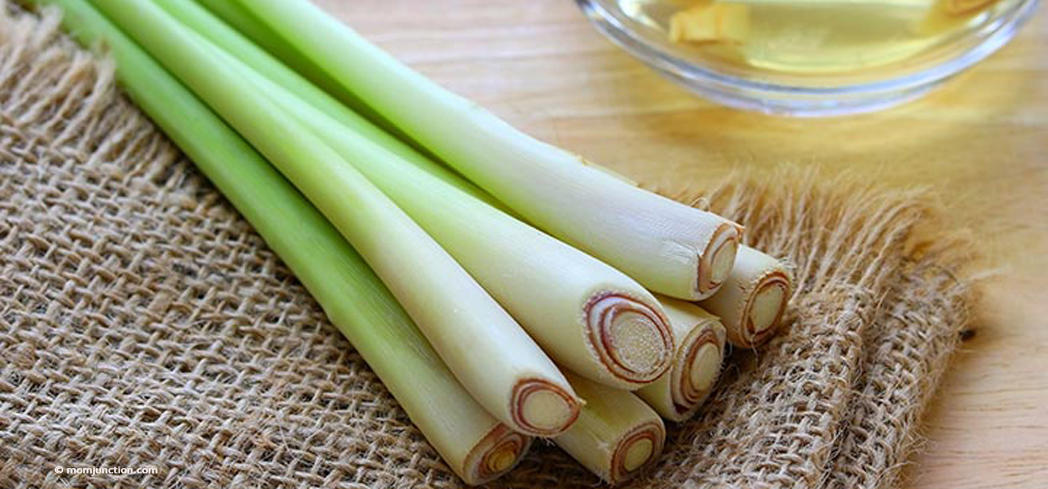 With food, lemongrass is remarkably adaptable