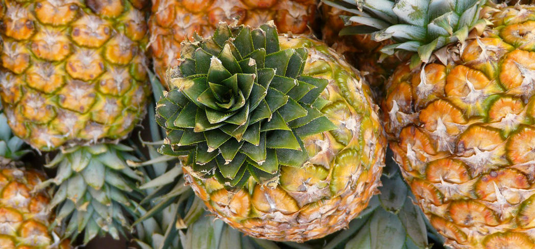Pineapples contain high quantities of water-soluble antioxidants