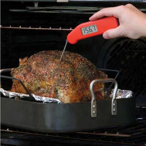 ThermoWorks Thermapen