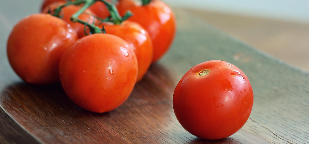 Tomato
