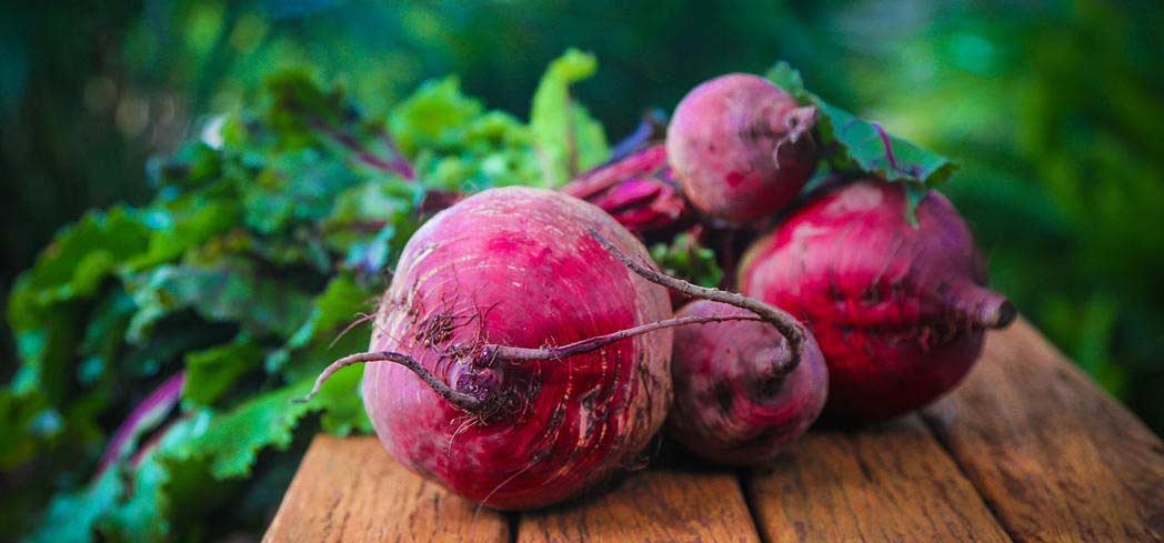 Beets can increase the activity of enzymes in the liver