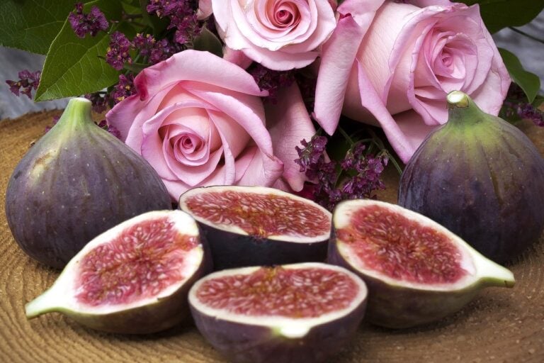 Best aphrodisiac foods figs