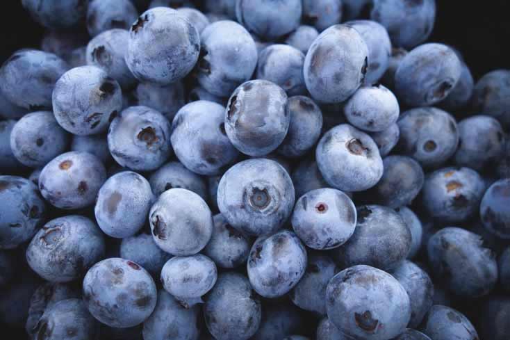 Blueberries get their rich blue color from neuron-protecting flavonoids