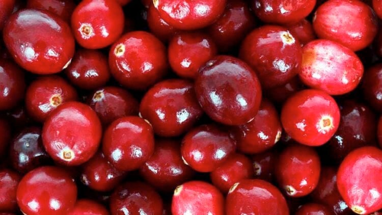 Cranberries are a tangy fruit loaded with health benefits