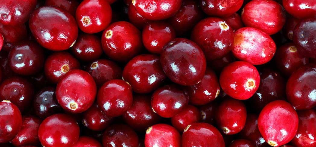 Cranberries are a tangy fruit loaded with health benefits
