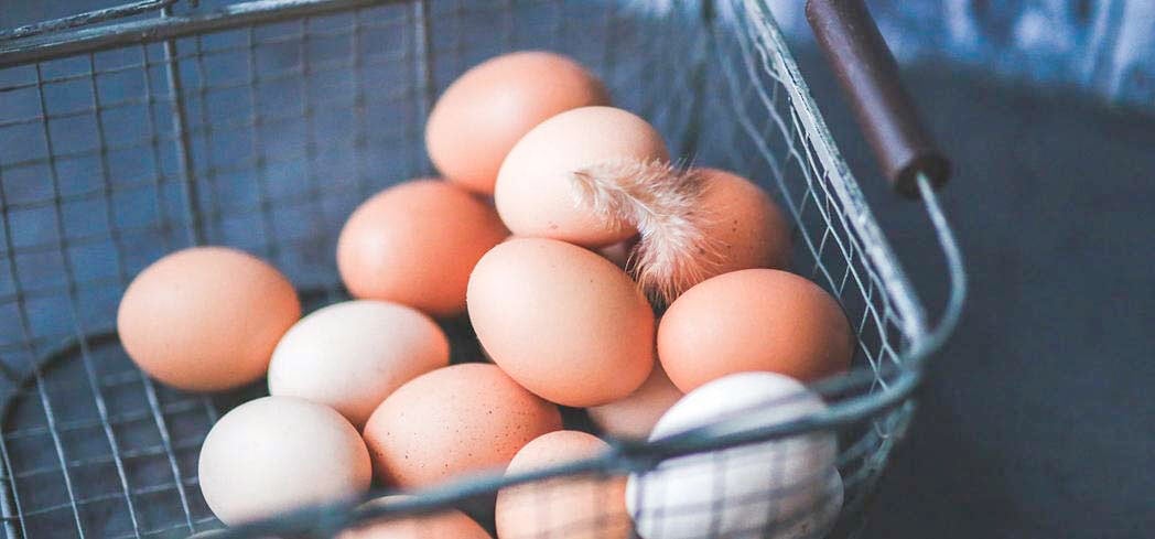 Eggs are a good source of protein and have other health benefits