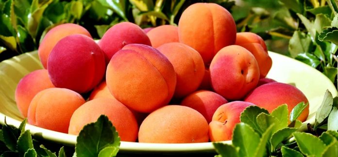 Peach Health Benefits Why You Should Include Peaches In Your Diet