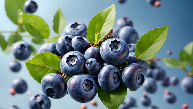 Superfoods