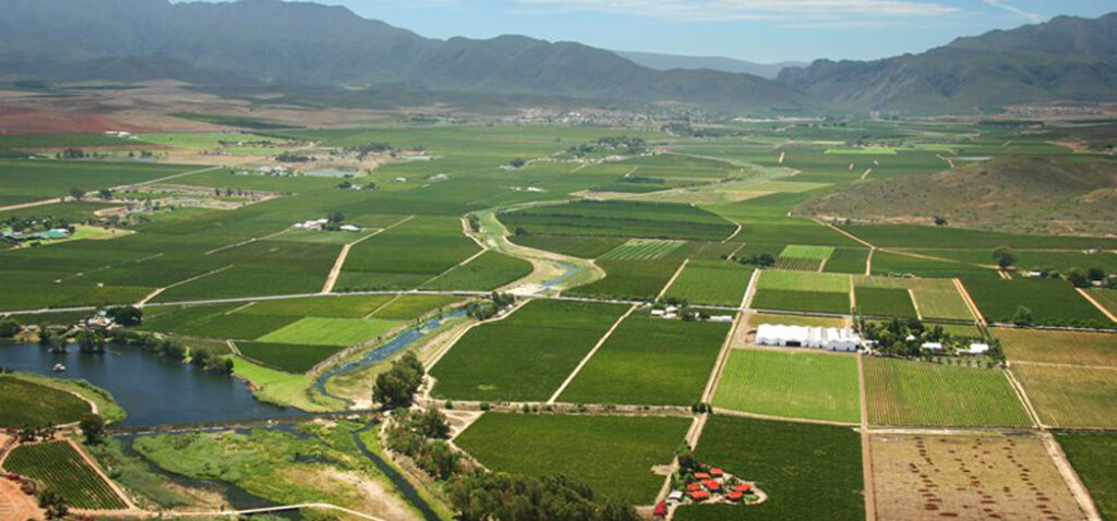 Cape Town South Africa Wine Route 62