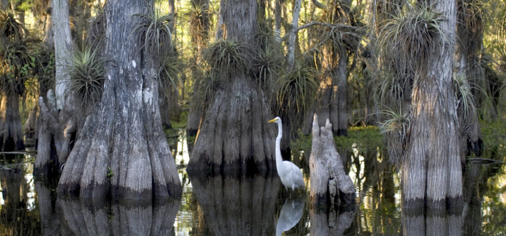  Everglades National Park