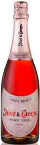 Juve y Camps Brut Rosé Cava