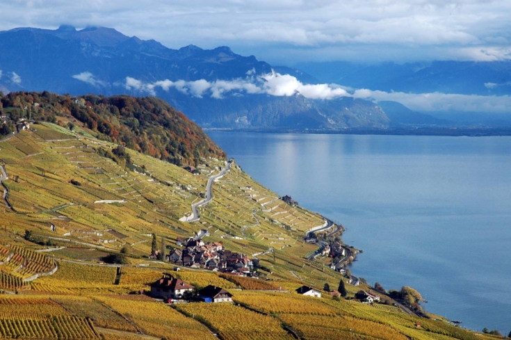 Lavaux Wine Route