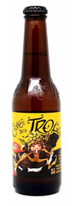 Brasserie Dubuisson Cuvée des Trolls