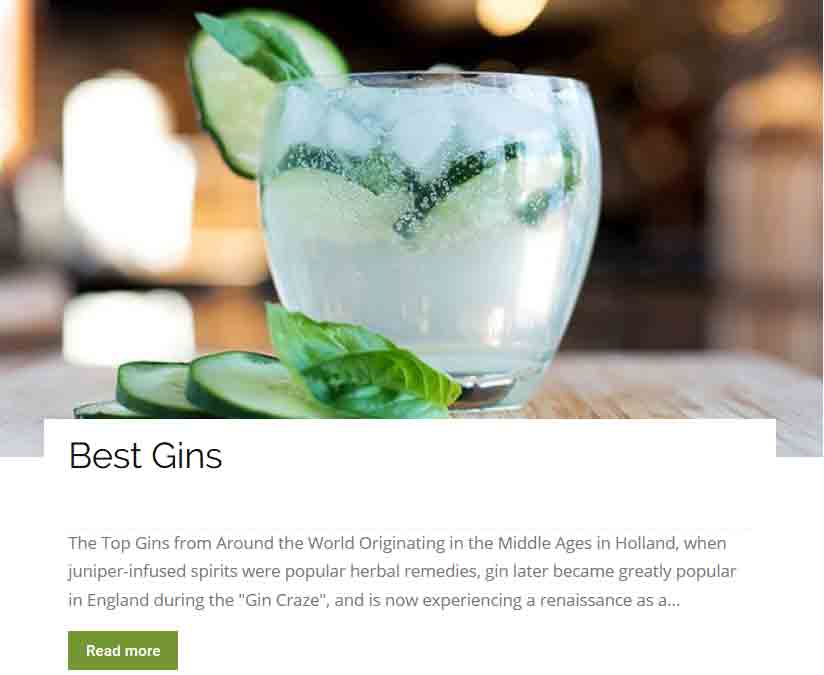 Best gins