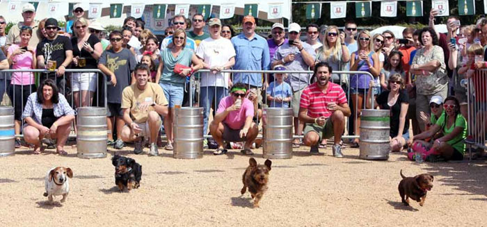 Oktoberfest Fort Worth