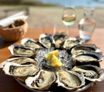 Oyster wine pairing