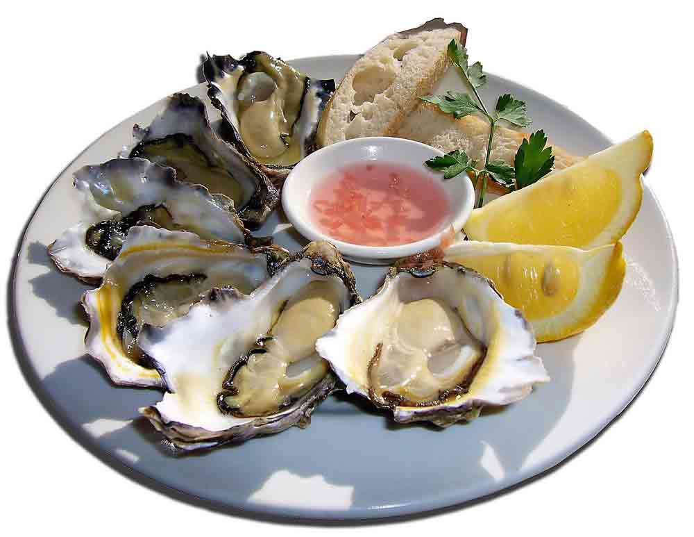 Oysters wine pairing