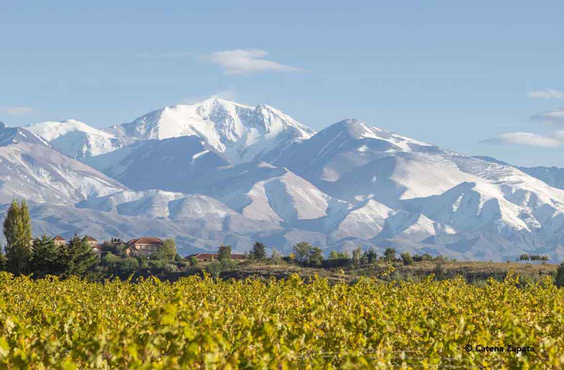 Malbec wine varietal description