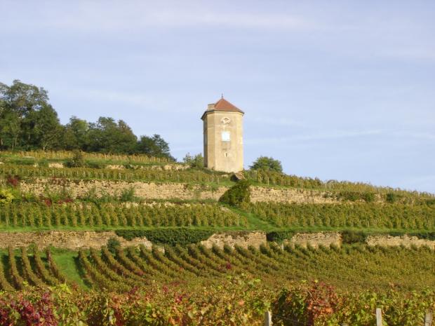 Bénédicte & Stéphane Tissot Vineyards