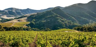 Alma Rosa Winery Santa Barbara CA