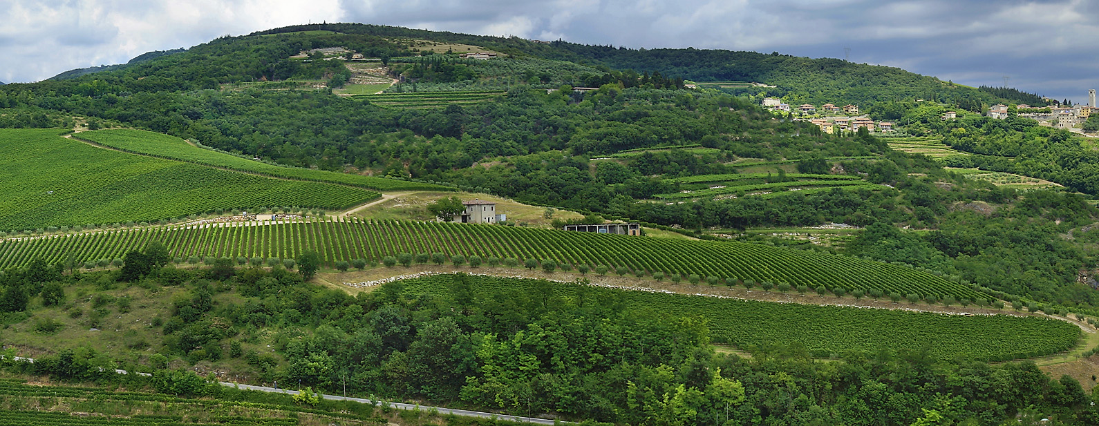 Zenato Vineyards Valpolicella Veneto Italy