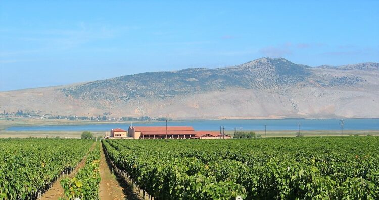 Alpha Estate vineyards Greece